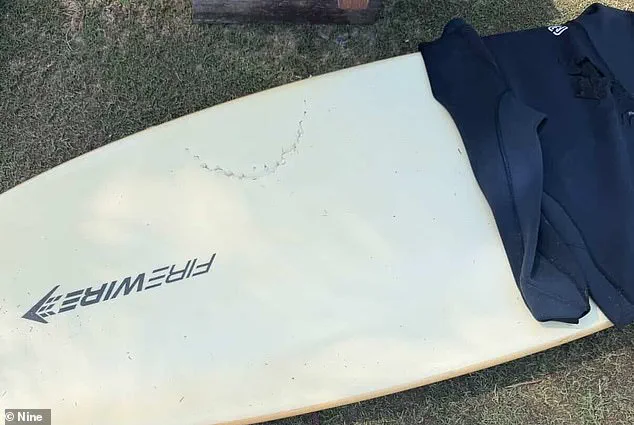 Rising Concerns Over Surge in Shark Attacks in Australia as Scientist Investigates Possible Causes and Safety Advisories Are Issued