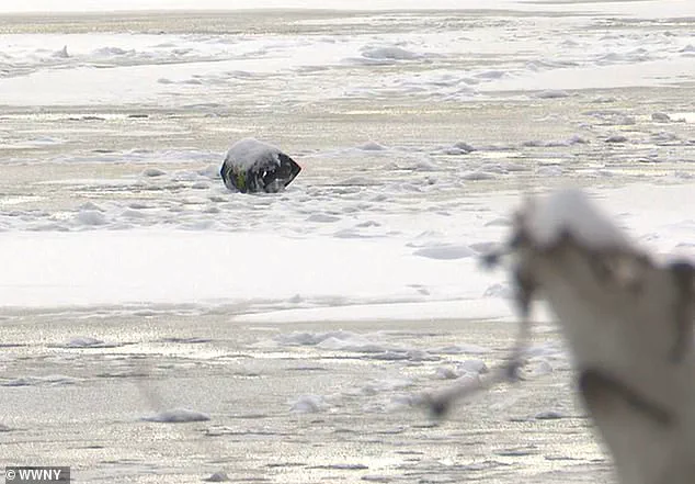 Ice Fishing Trip Turns Tragic as Father and Son Face Harrowing Ordeal on Chaumont Pond