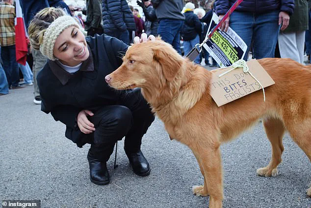 Palestinian-American Congressional Candidate Faces Scrutiny Over Missed Events