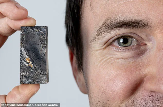 Prototaxites: Rewriting the Story of Early Life on Earth as Scientists Discover It Belongs to an Extinct Evolutionary Branch