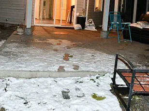 Idaho State Police Controversy Over Release and Removal of Crime Scene Photos from University of Idaho Murders