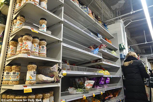 Winter Storm Fern Sparks Panic Buying in New York as Residents Stockpile Essentials