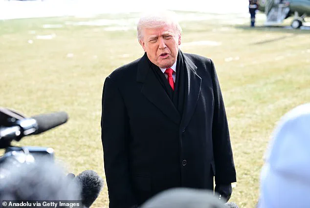 Poll Reveals Majority of Voters Blame Trump's Border Patrol for Minnesota Nurse's Murder