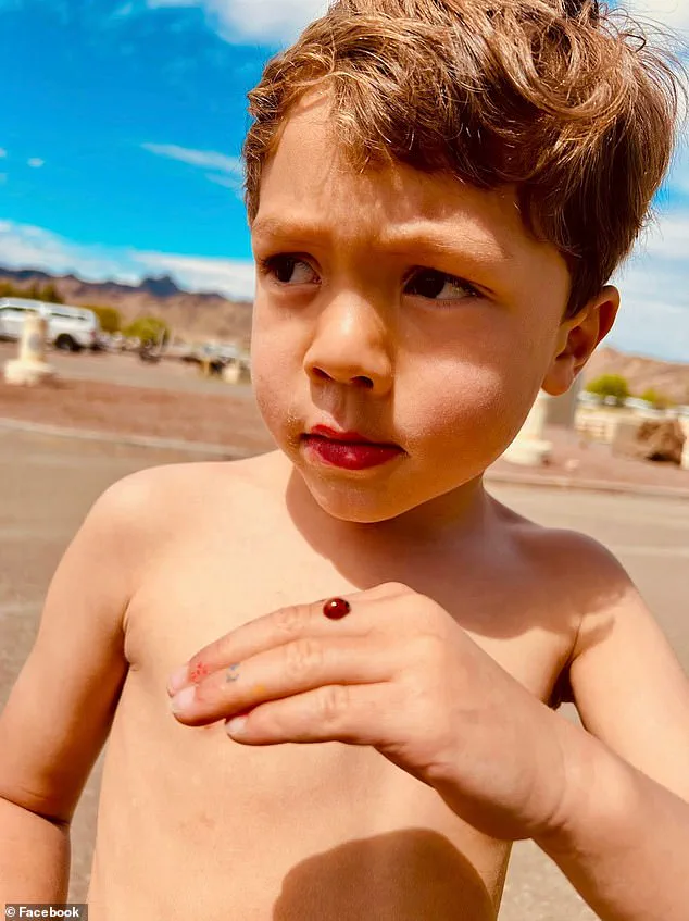 San Diego Community Demands Answers After Hit-and-Run Death of Six-Year-Old