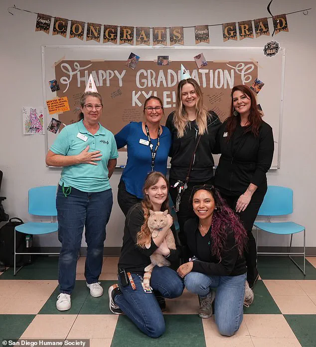 San Diego Humane Society Ensures Public Safety with Rabies-Preventive Quarantine for Rescued Tabby