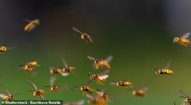 Silent Crisis: Insect Decline Warns of Looming Ecological Collapse, Says Physician