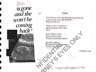 Jeffrey Epstein Documents Fuel Conspiracy Theories, Claims of Alleged Children, and Victim's Traumatic Account
