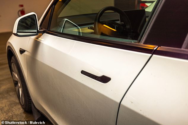 Safety Experts Sound Alarm Over High-Tech Car Features Amid China's Handle Ban