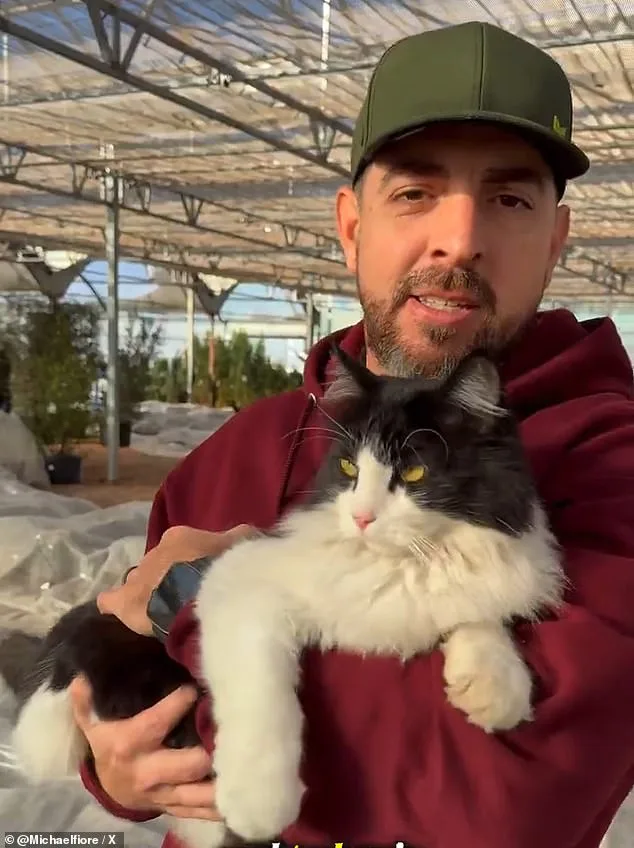 Texas Garden Center's Sylvester the Cat Goes Viral for Impressive Rat-Catching Skills