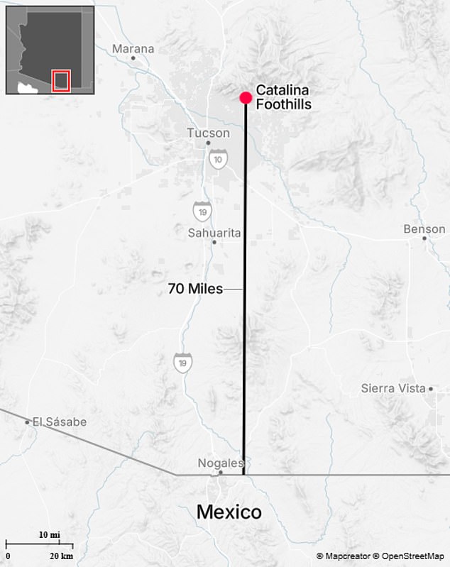 Unusually Clean Roof Sparks Police Probe into 84-Year-Old's Disappearance