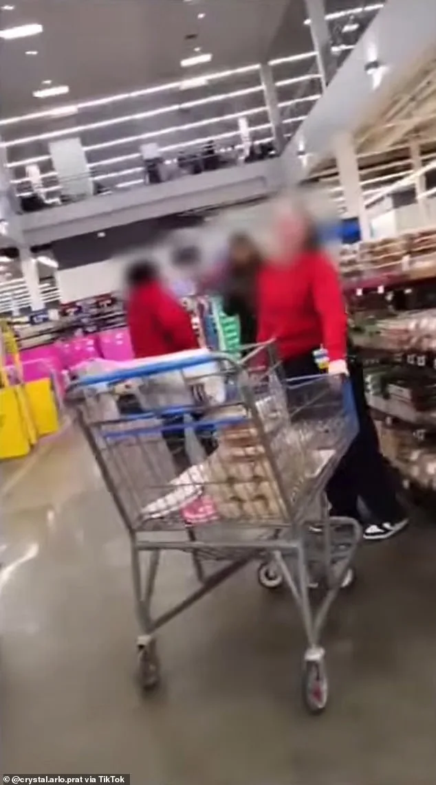 Walmart shopper alleges employees violated ADA by targeting her service dog for not being on a leash
