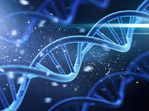 Why the 40s, Not Old Age, Are the Most Exhausting Decade of Life