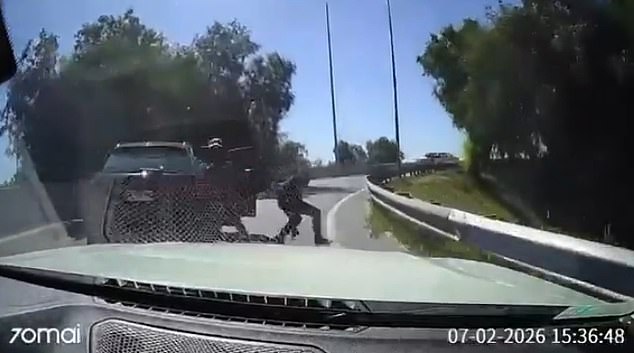 Dramatic Chilean Motorway Confrontation Sparks Heated Debate Over Self-Defense and Escalating Crime Threat