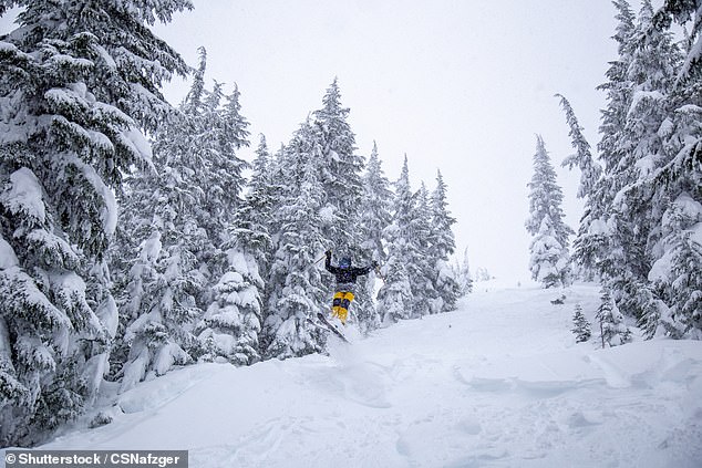 Unprecedented Snow Drought Sparks Crisis for Washington Ski Resorts and Winter Economy