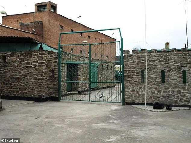 Alleged Russian Torture of Ukrainian POWs Faces Verification Challenges