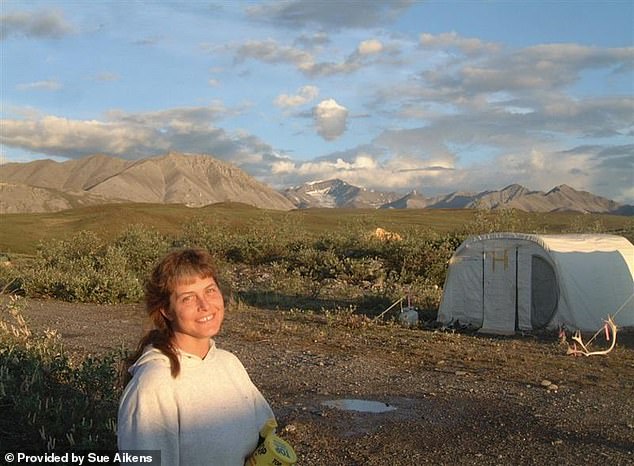 Defying the Wild: Susan Aikens' Journey from Bear Attack to Arctic Survival