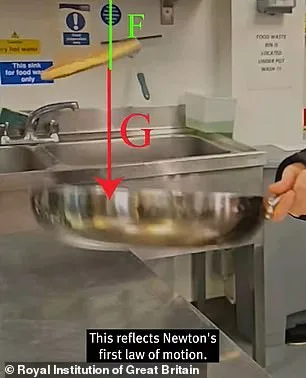 The Physics of a Perfect Pancake Flip: Newton's Laws and Torque Revealed by the Royal Institution