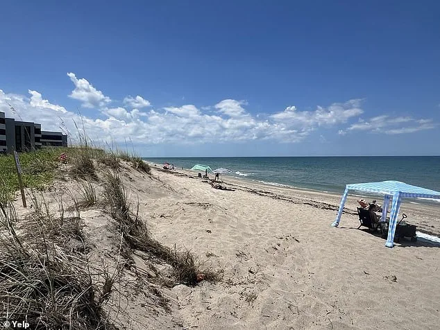 Venezuelan Man Allegedly Attempts to Drown Woman at Tiger Shore Beach, Florida: Police Call Act Deliberate Violence