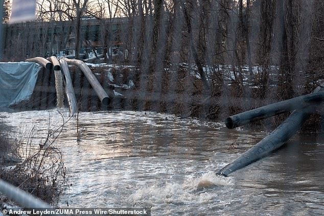 Maryland Governor Wes Moore Blocks ICE Cooperation in Direct Challenge to Trump