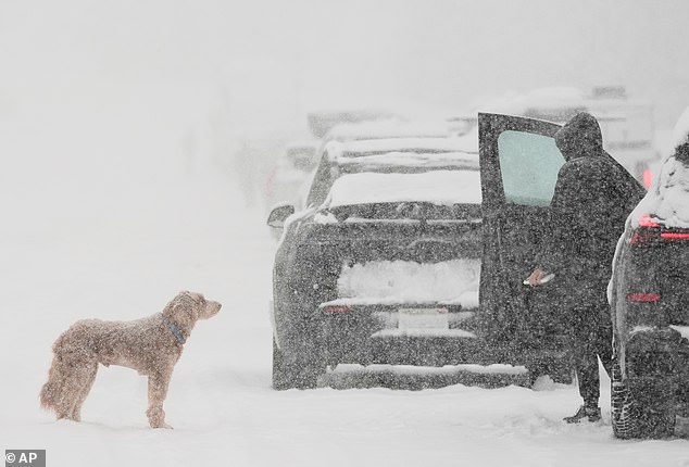 Massive Winter Storm Threatens Millions in 27 States as East Coast Braces for White-Outs and Freezing Conditions