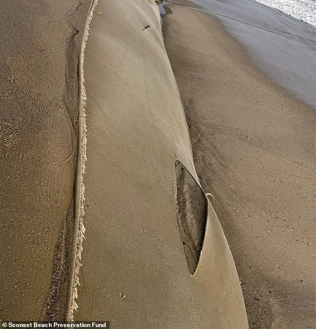 Nantucket Offers $10,000 Reward for Sabotage of Erosion-Control Devices Amid Coastal Crisis