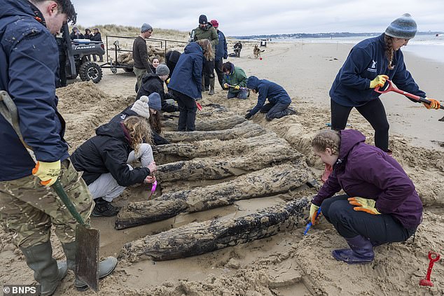 Racing Against the Tides: Archaeologists Battle to Save 17th-Century Shipwreck Before Storms Destroy It
