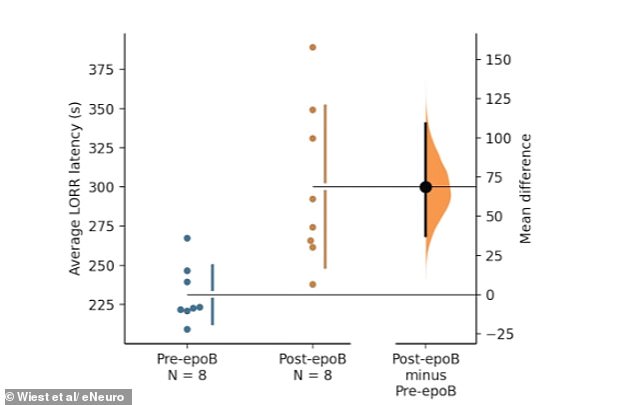 Radical Theory: Quantum Processes in the Brain May Revolutionize Understanding of Consciousness
