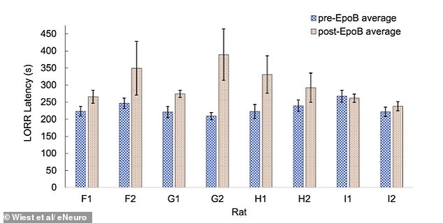 Radical Theory: Quantum Processes in the Brain May Revolutionize Understanding of Consciousness