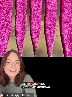 The Illusion That Divided the Internet: Why Some See a Fork and Others See Pink Slime