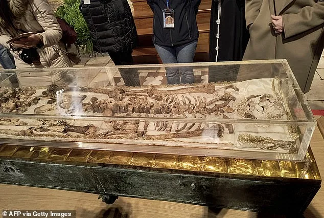 St. Francis of Assisi's Remains Revealed After 800-Year Saga for 800th Anniversary