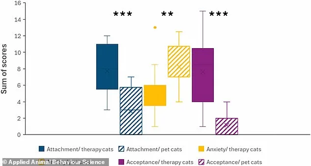 Study Reveals Cats' Independence Challenges Cultural Beliefs About Pets