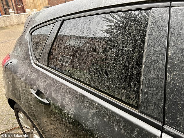 UK on Brink of 'Blood Rain' as Saharan Dust Mixes with Persistent Rainfall