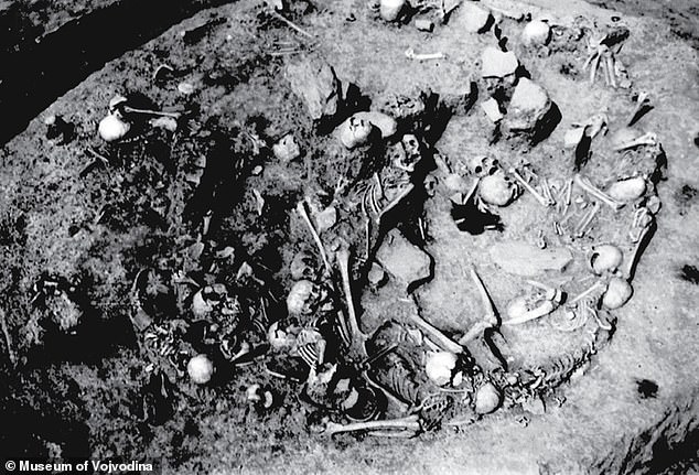 Serbian Valley Unearths Ancient Massacre: 77 Victims, Including Women and Children, Killed 2,800 Years Ago, Challenging Assumptions About Early European Societies
