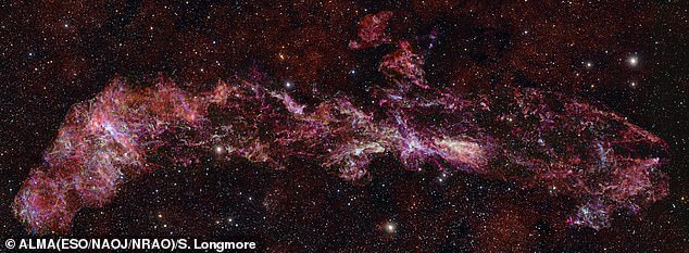 ALMA Reveals Unprecedented Chemical Diversity in Milky Way's Central Molecular Zone