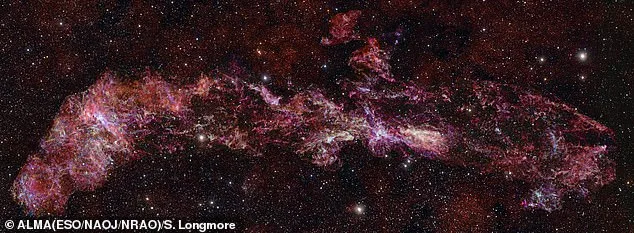 ALMA Reveals Unprecedented Chemical Diversity in Milky Way's Central Molecular Zone