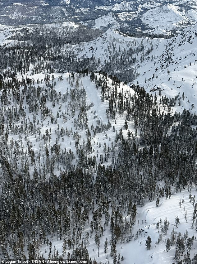 Deadly Avalanche at Castle Peak Claims Nine Lives in Sierra Nevada Disaster