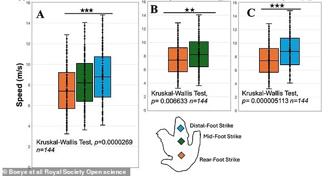 Study Suggests T. rex Sprinted on Toes, Not Stomped Heavily