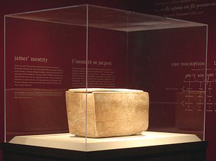 Provocative Theory Links Noah's Ark Survivors to Human Blood Types, Sparking Global Debate