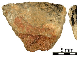 Breakthrough Study in Hungary Challenges Gender Norms in Prehistoric Societies