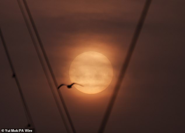Saharan Dust Plume Brings 'Blood Rain' to UK