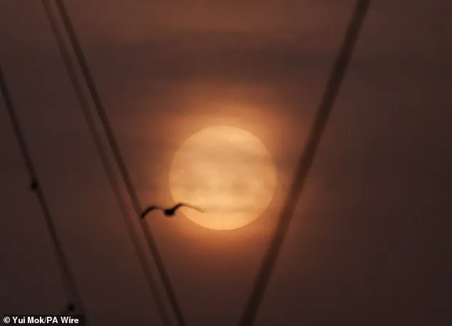 Saharan Dust Plume Brings 'Blood Rain' to UK