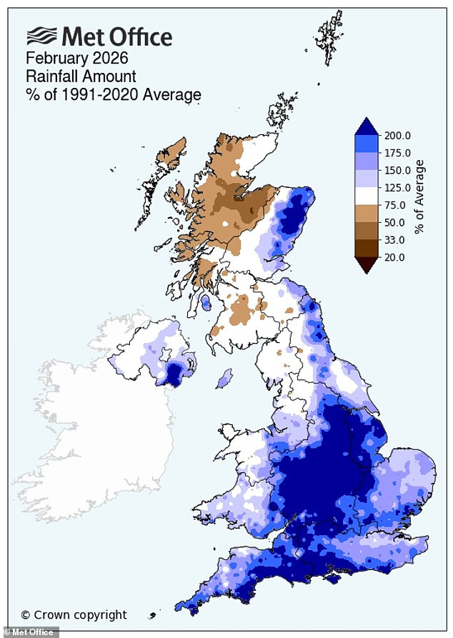 UK Braces for 'Slugageddon' as Wettest February Fuels Slug Surge