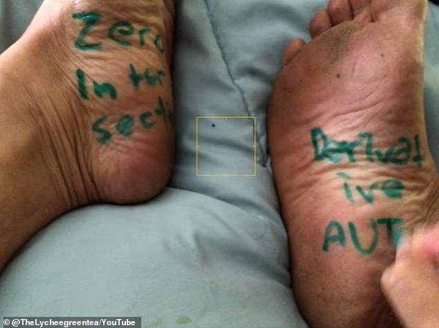 California Math Teacher Suspended Over Fat-Shaming Quiz, Controversial YouTube Channel Spark Debate on Classroom Humor