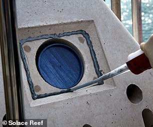 From Caskets to Cosmos: The Rise of Eco-Friendly Funerals in the UK