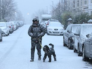 Red Flags for AMOC: Gulf Stream's Northward Shift Signals Climate Crisis