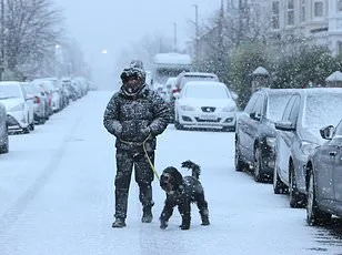 Red Flags for AMOC: Gulf Stream's Northward Shift Signals Climate Crisis