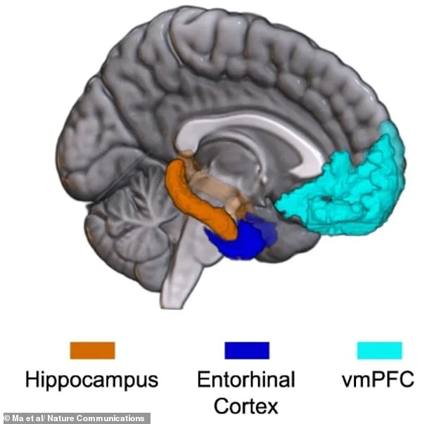AI-Driven Brain Mapping Uncovers Shared Neural Code for Emotions, Offering New Pathways for Mental Health Treatment
