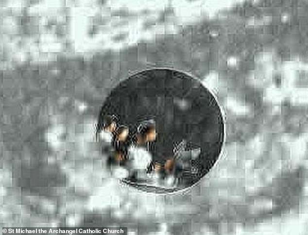 13 Microscopic Human Figures Discovered in the Eye of the Virgin Mary's Tilma: A 500-Year-Old Mystery Unfolds