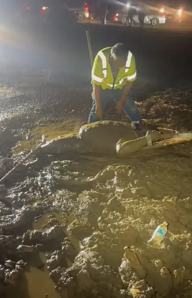 Mississippi Man Trapped in Deceptively Treacherous Mud During Trail Ride Event