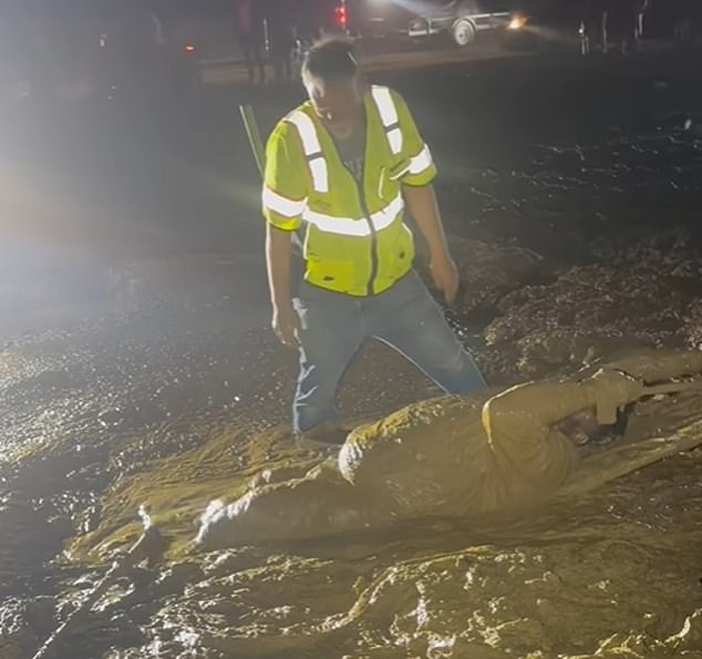 Mississippi Man Trapped in Deceptively Treacherous Mud During Trail Ride Event